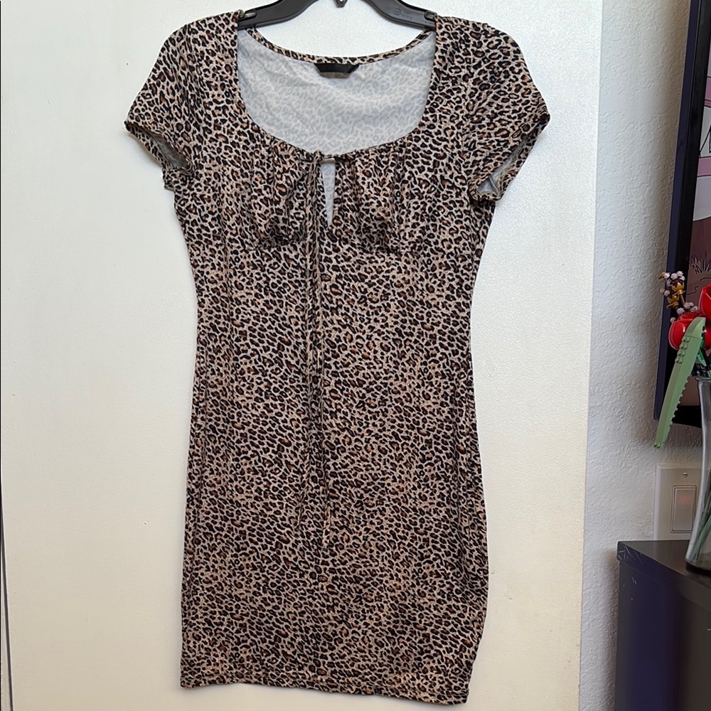 Leopard Print Women's Dress